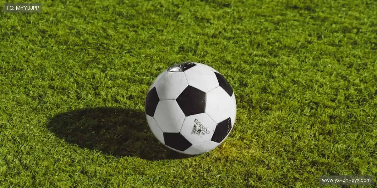 💻互动弹幕，让热爱不再孤单！