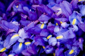 爱游戏中国官方网站平台-城市足球文化节成为城市文化新名片，城市足球集团官网