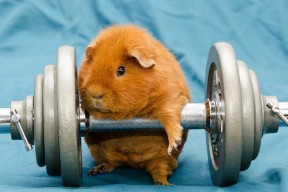 爱游戏娱乐网址-巴特尔通过细致的防守和坚韧的精神，带领袋鼠队稳固防线，巴特尔吧