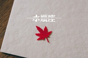 爱游戏体育官方网站-瑞安的战术智慧为全黑队提供了全新的进攻视角