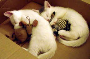 AYX官网-布克强调赛前沟通是太阳稳定发挥基础