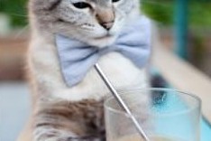 AYX GAME-CBA联盟积极响应国家号召推广群众篮球，篮球协会推行cuba