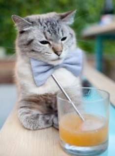 CBA联盟积极响应国家号召推广群众篮球,篮球协会推行cuba