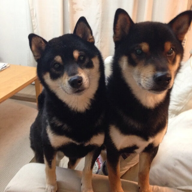 Chinese Taipei在2024年世界杯表现超预期，2024世界杯在哪个国家举办,具体日期