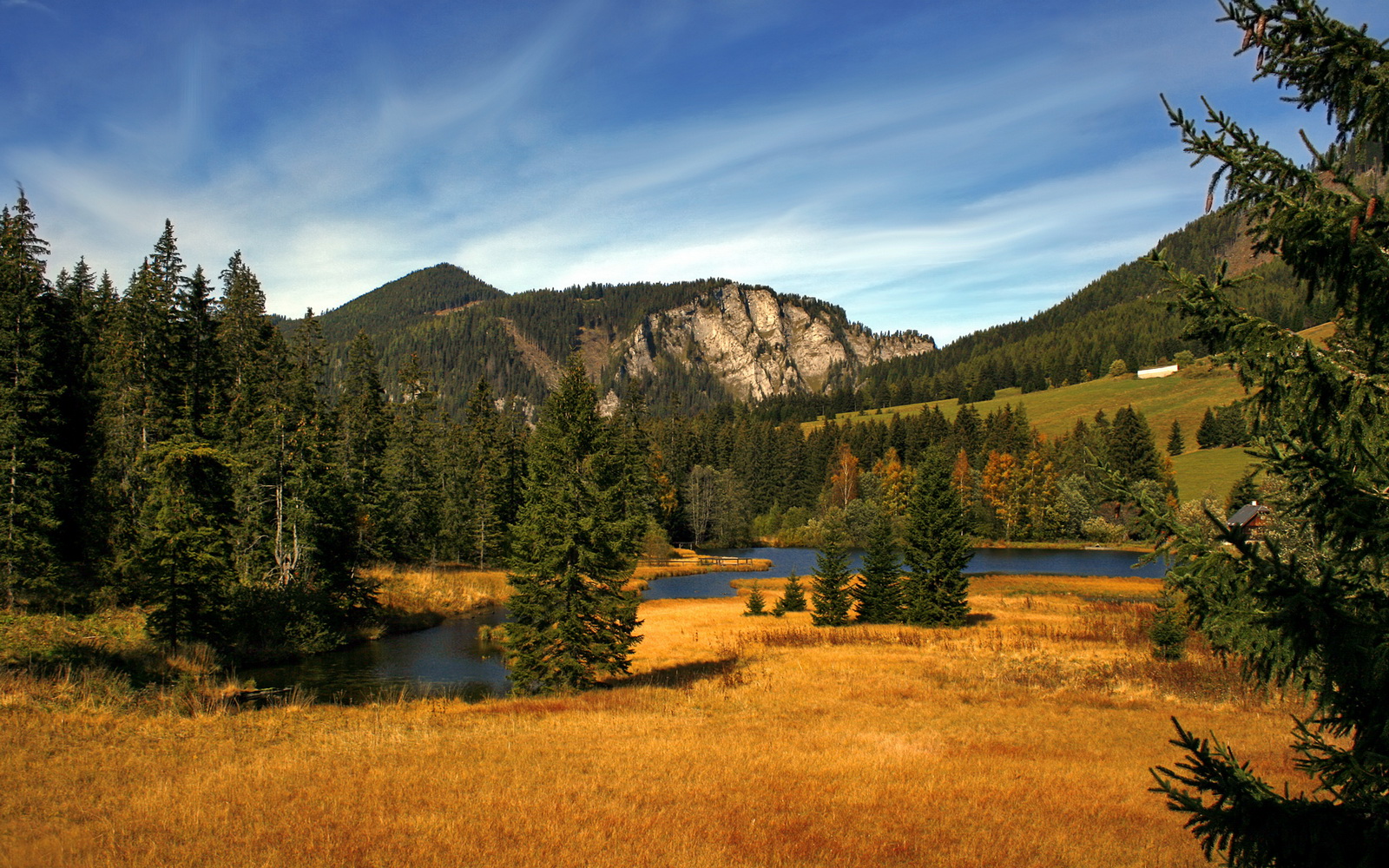 中国男篮三分命中率显著提升,中国男篮历史三分王