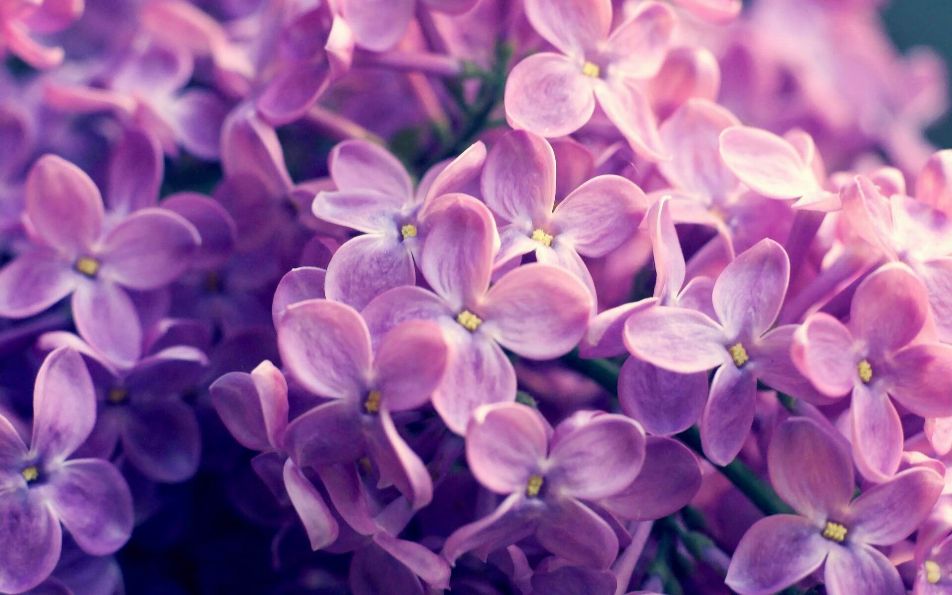 中国男篮队长表示全队状态逐步回暖,中国男篮蓝队队长