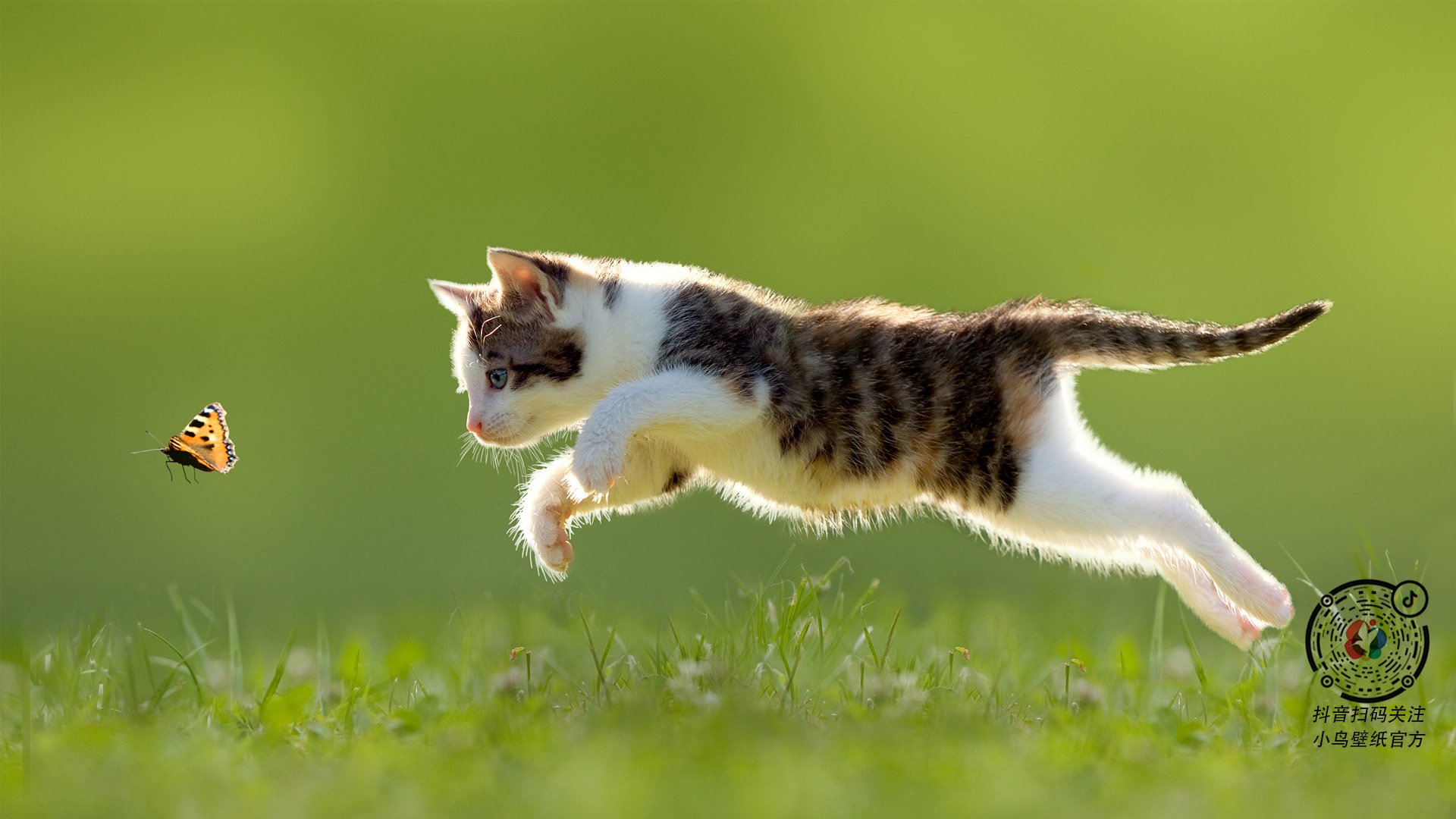 中超联赛中国队迎战 球员心态保持积极,中超新人