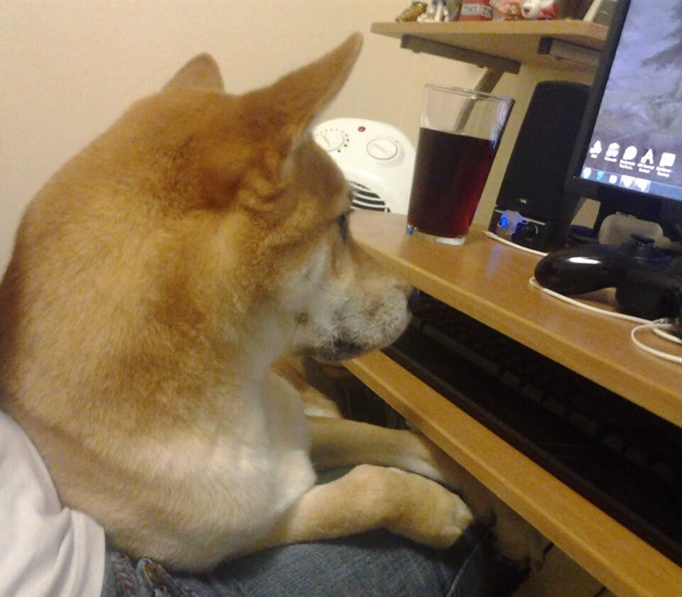 国际足联官方宣布2026年世界杯扩军政策,国际足联官方宣布2026年世界杯扩军政策