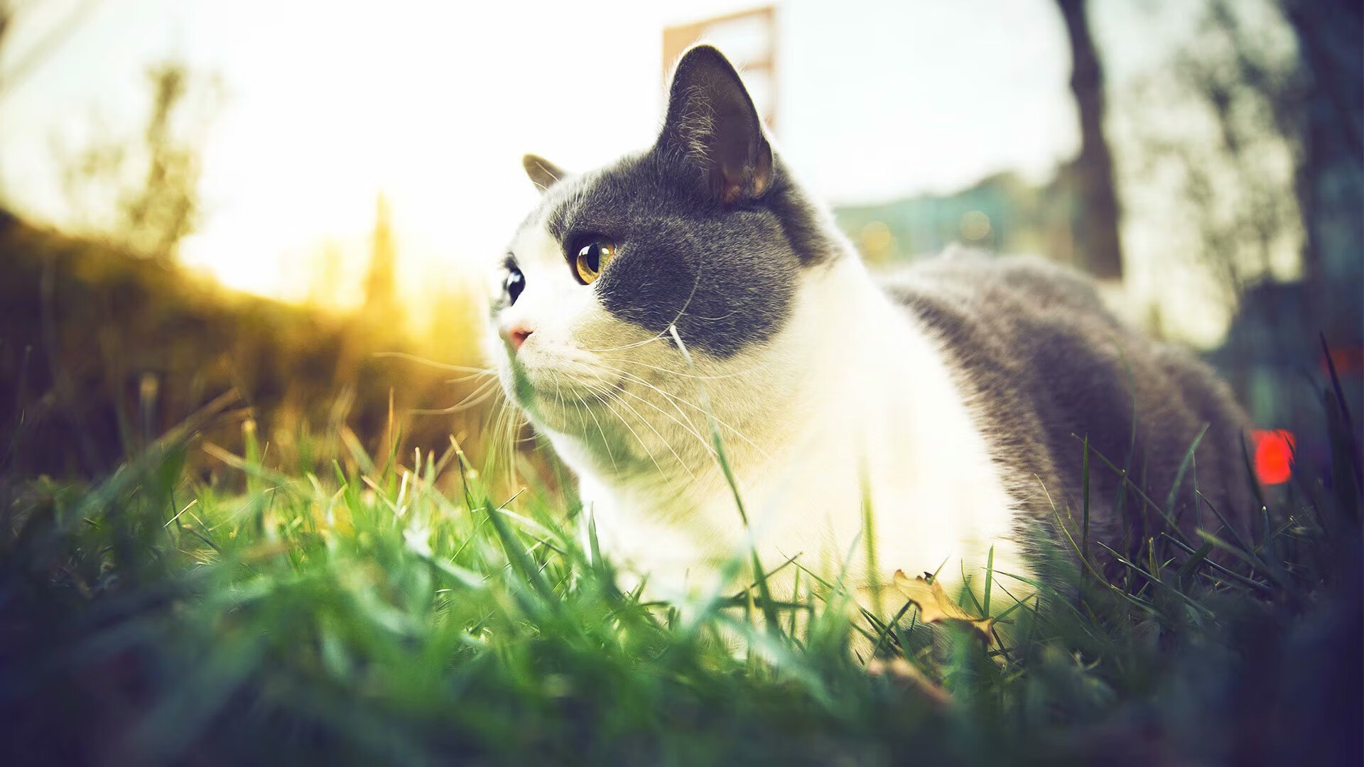 女子国家队训练中加强突破训练提升边路攻击效率,女子田径国家队