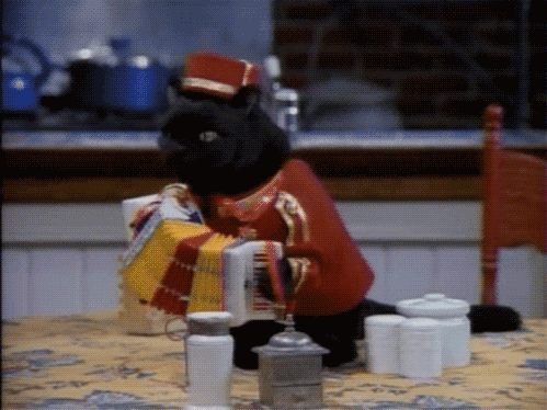 女子蛙泳希腊代表团再创佳绩,女子蛙泳冠军是谁