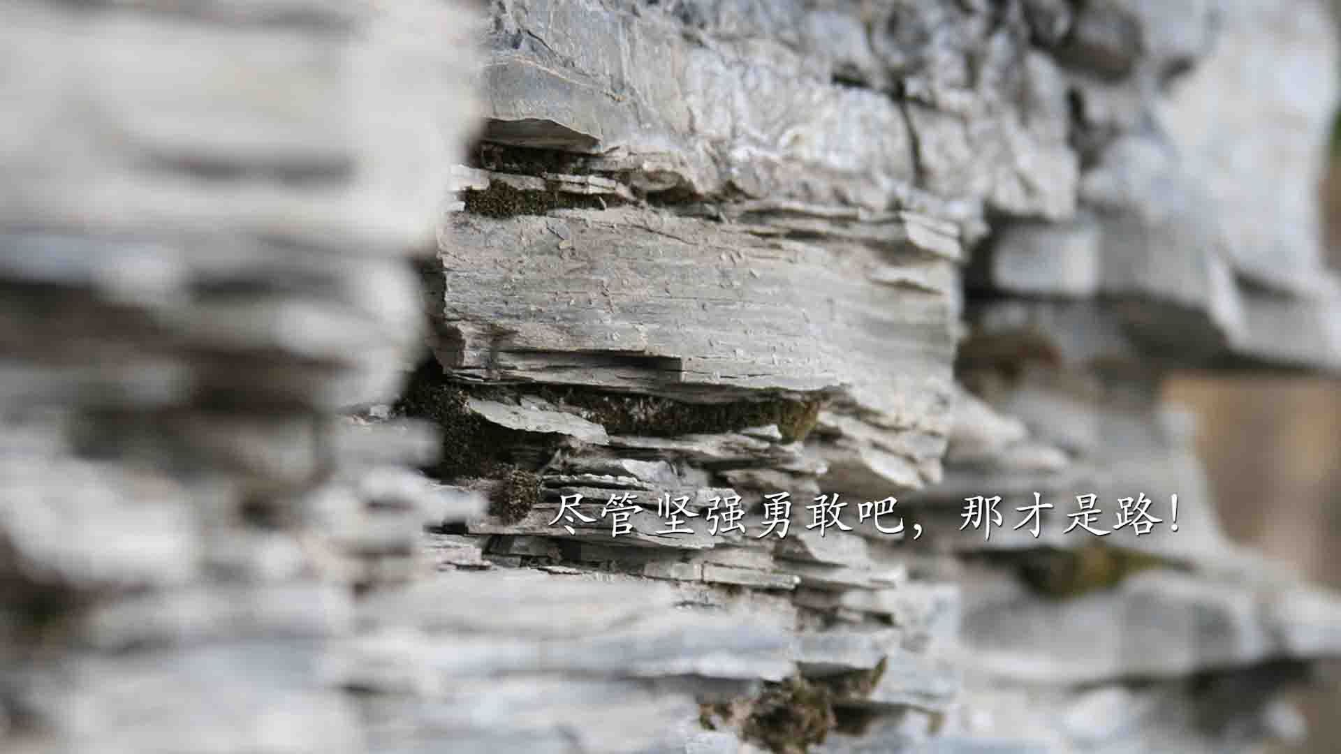 德甲攻守兼备:速度与战术完美结合!,德甲打法特点