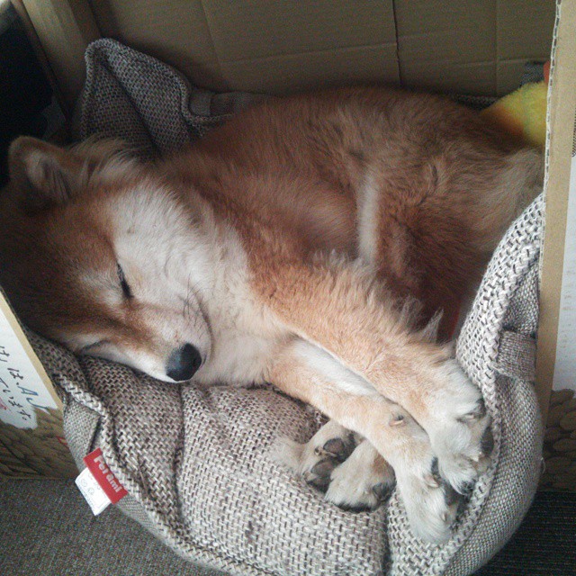 篮球青训课程纳入身体协调专项课强化核心能力,篮球青训体系