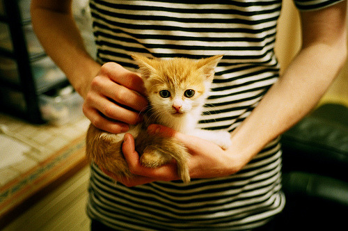 苏炳添参加纪录片讲述成长经历,苏炳添纪录视频